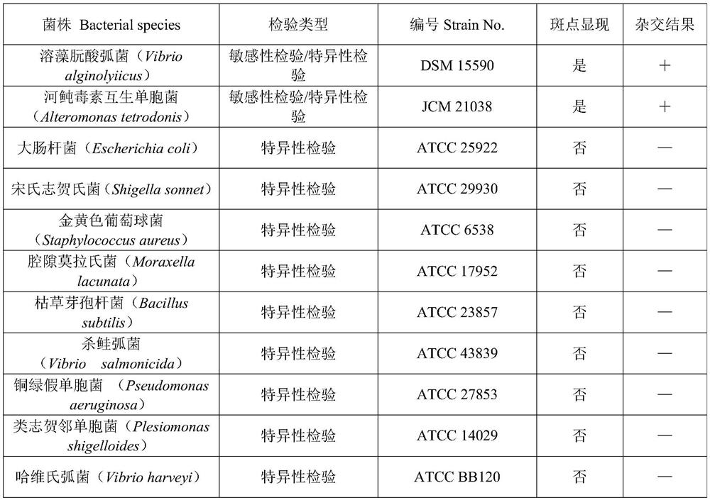 A method for rapidly screening microbial strains producing tetrodotoxin and the used digoxin-labeled dna probe