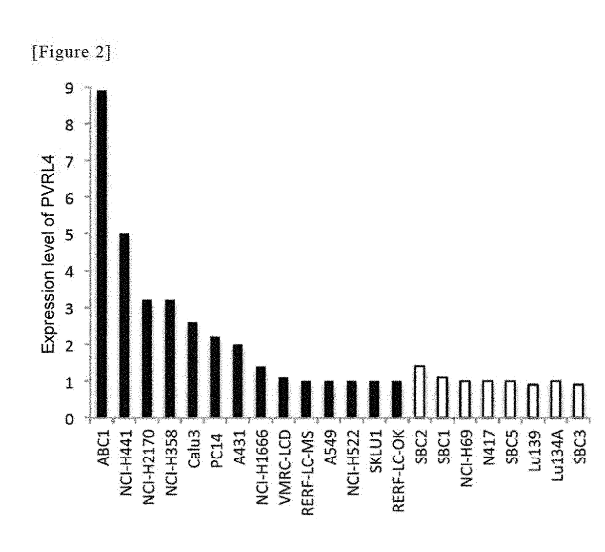 Gene-modified measles virus for tumor treatment use