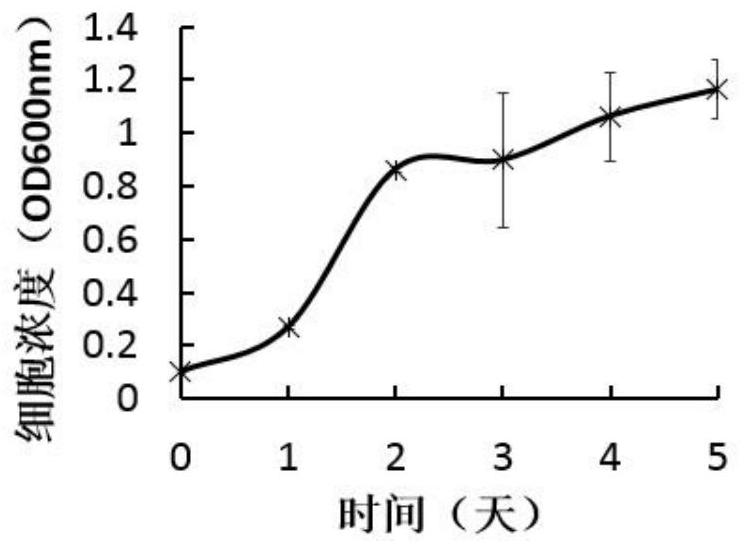 A kind of culturing system and culturing method of aerobic anaerobic bacteria using syngas fermentation to produce alcohol