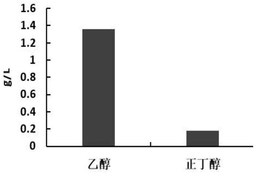 A kind of culturing system and culturing method of aerobic anaerobic bacteria using syngas fermentation to produce alcohol