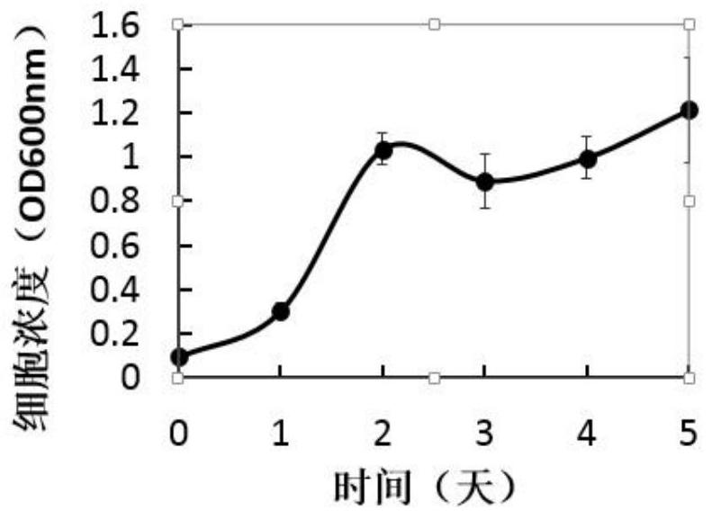 A kind of culturing system and culturing method of aerobic anaerobic bacteria using syngas fermentation to produce alcohol