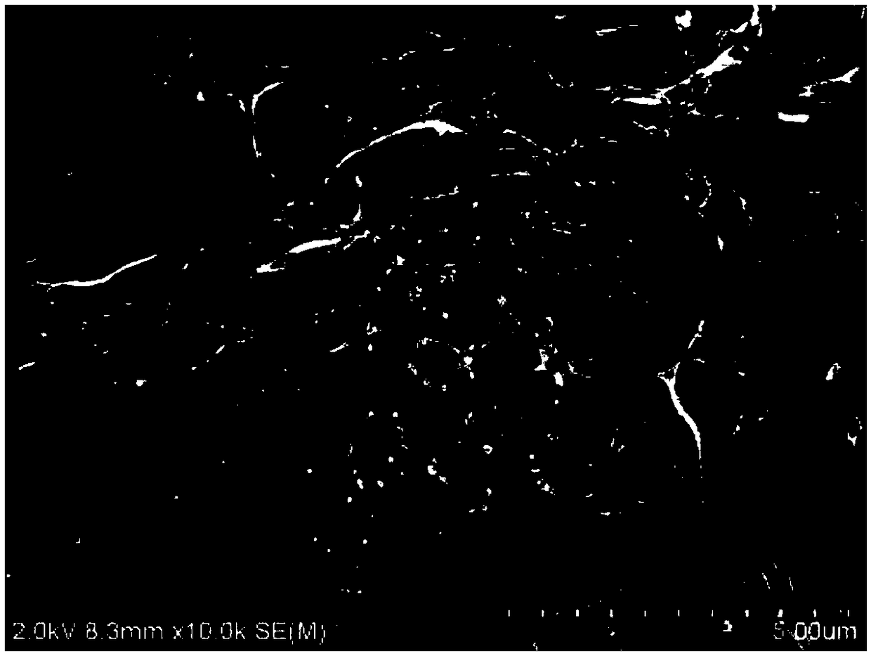 Preparation method of EGCG liposome gel and EGCG liposome gel