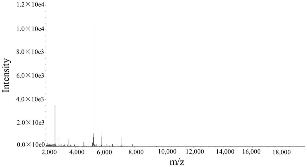 A strain of Lactobacillus plantarum nx-1 and its application in the preparation of hypoglycemic drugs