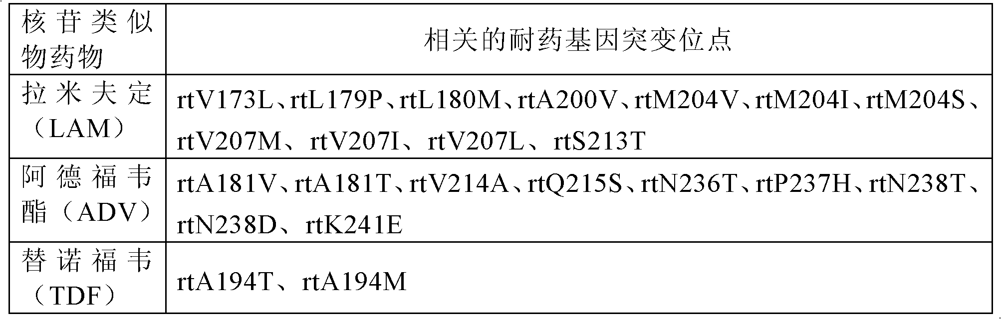 Detection probe, detection kit and detection method for hepatitis B virus drug resistance gene mutation