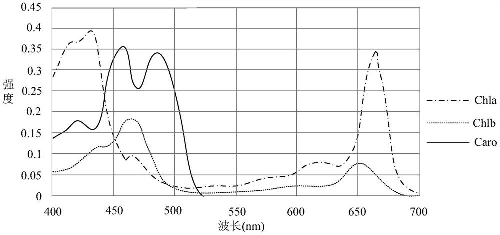 Light source for plant illumination