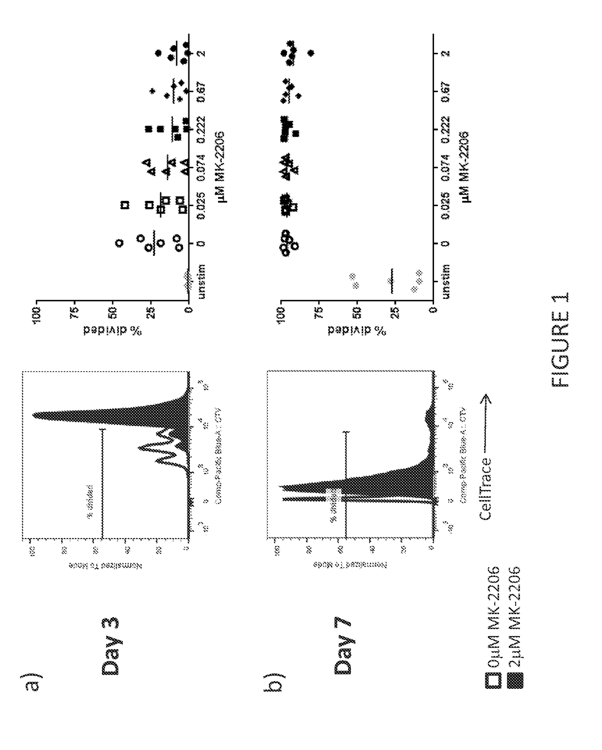 Improved t cell compositions