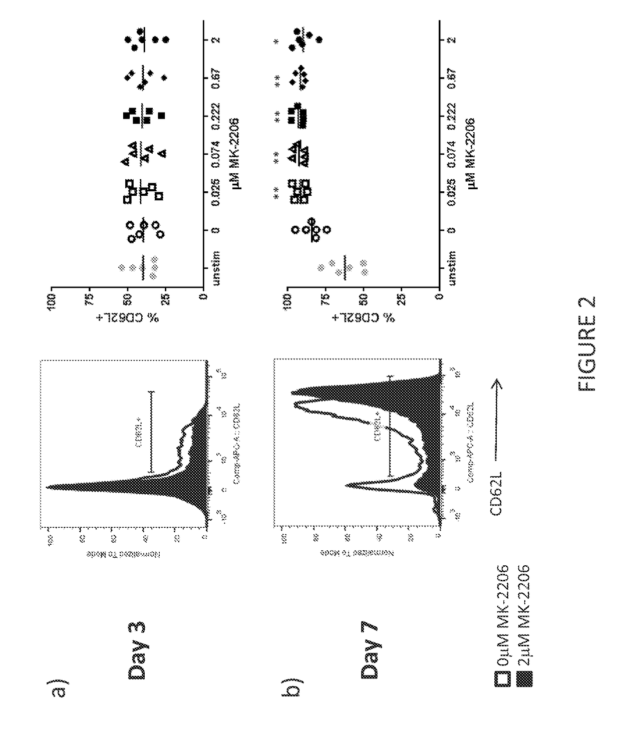 Improved t cell compositions