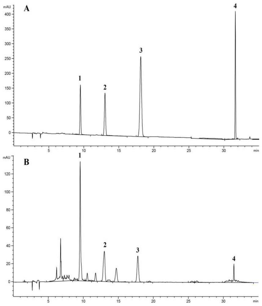 A method for simultaneous determination of 4 kinds of active ingredients in Dengzhan flower