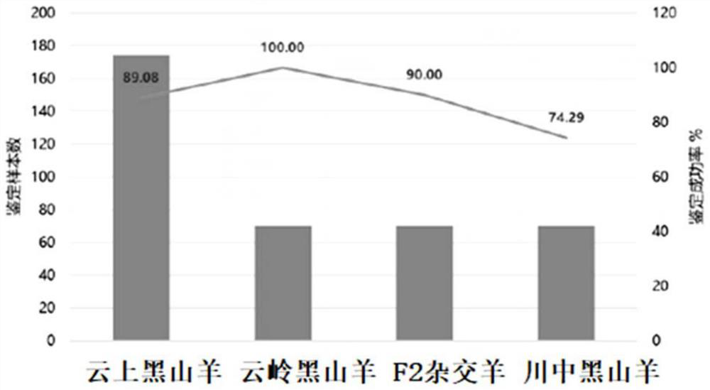 SNP (Single Nucleotide Polymorphism) marker for cloud black goats and application of SNP marker in identification of varieties of cloud black goats