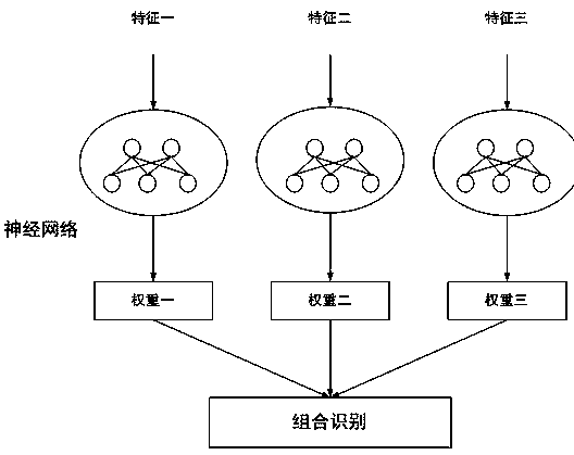 System and method for identifying varieties of insects based on big data cloud server