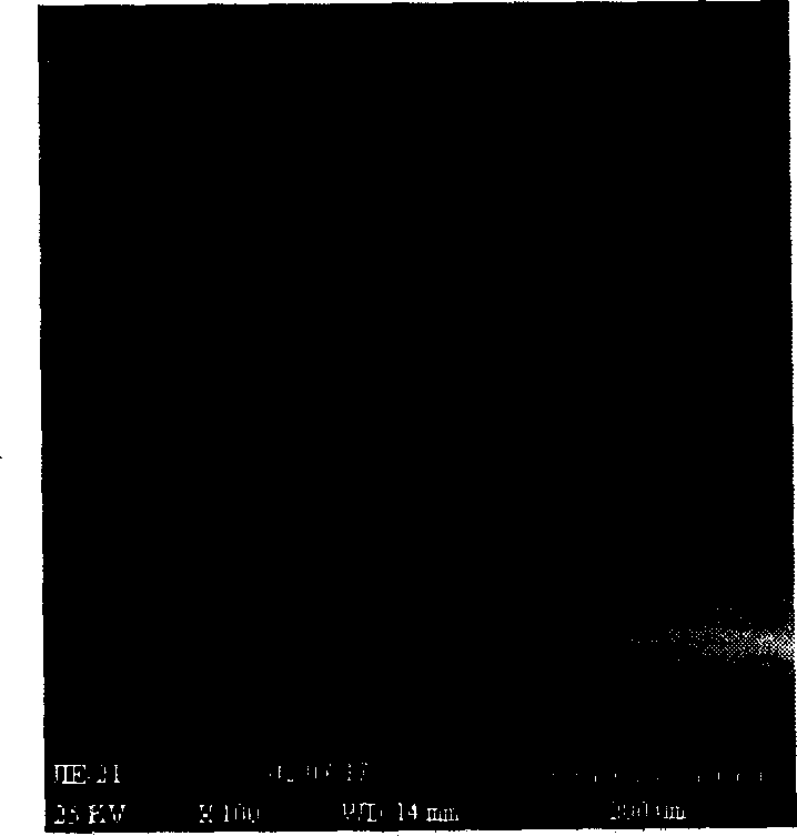 Gas separation film made of cellulosic hollow fiber and the preparation process thereof