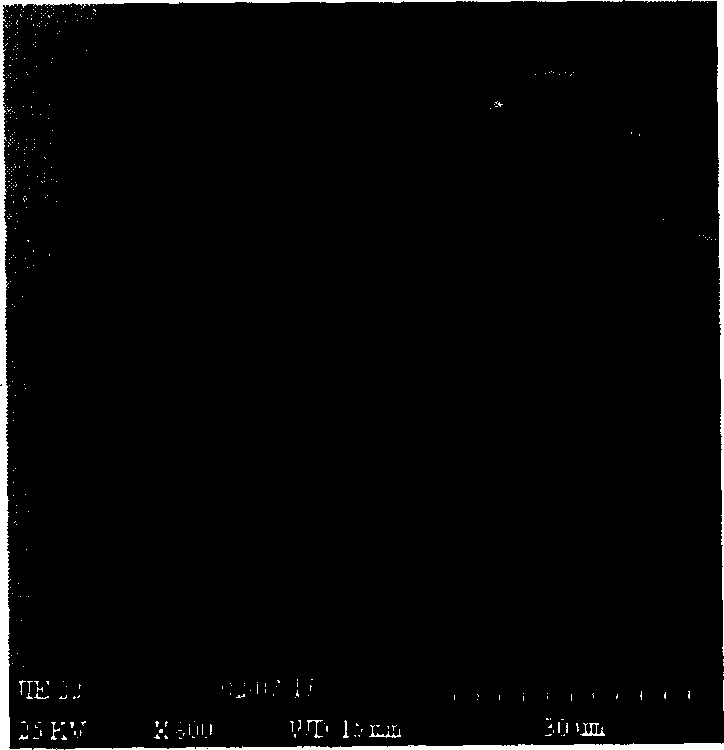 Gas separation film made of cellulosic hollow fiber and the preparation process thereof