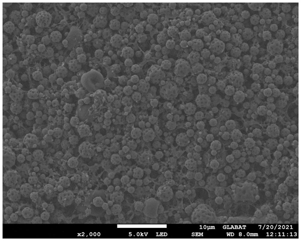 Polyimide coating modified polyolefin composite diaphragm and preparation method thereof