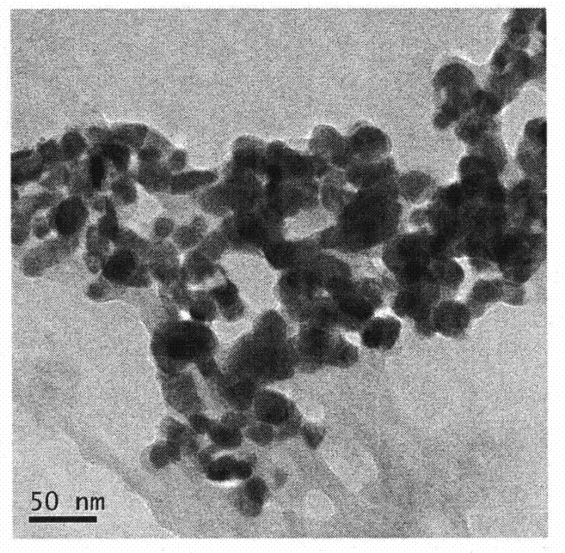 Method for preparing nanometer silver halide colloids