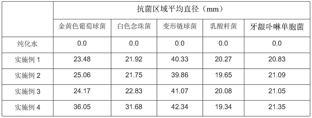 Compound traditional Chinese medicine mouthwash and preparation method thereof