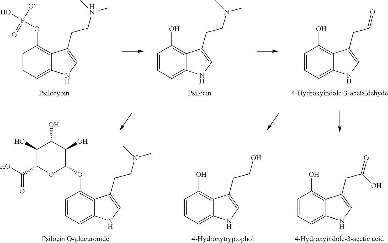 Compositions and methods for enhancing neuroregeneration and cognition by combining mushroom extracts containing active ingredients psilocin or psilocybin with erinacines or hericenones enhanced with niacin