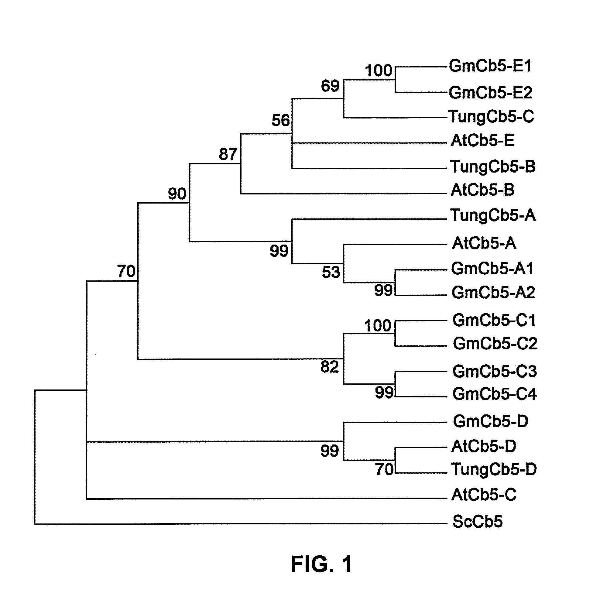 Plant genes associated with seed oil content and methods of their use