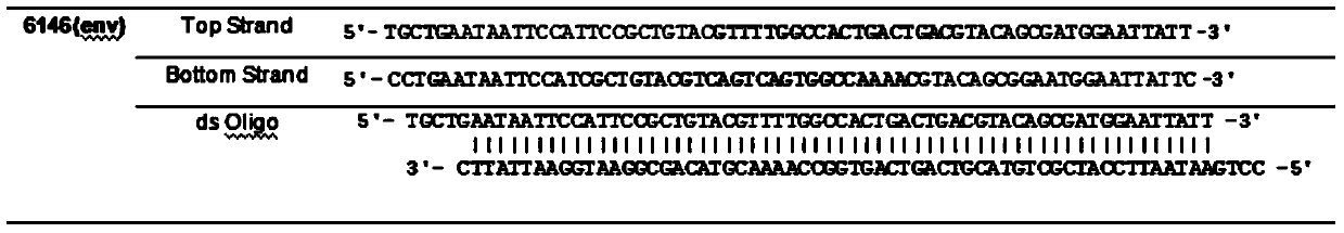 J avian leukosis virus subgroup env gene conserved sequence-based siRNA (Small Interfering RNA (Ribonucleic Acid)) recombinant interference carrier as well as preparation method and application thereof