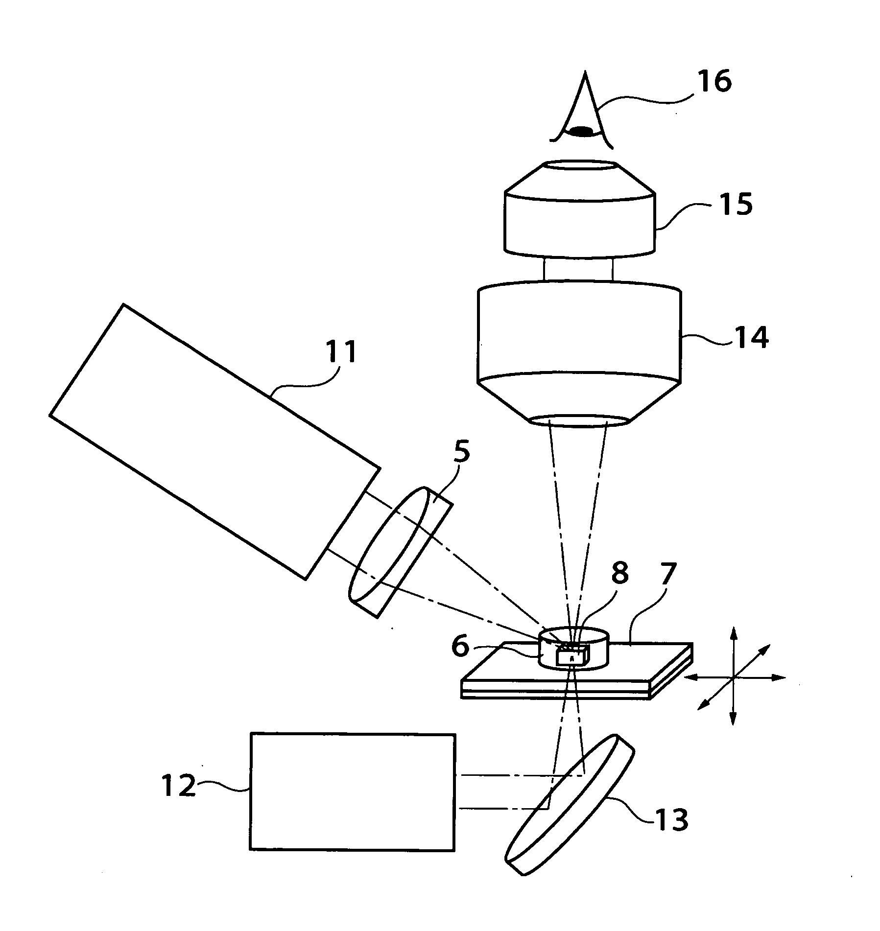 Processing method of polymer crystal, processing system of polymer crystal, and observation system of polymer crystal