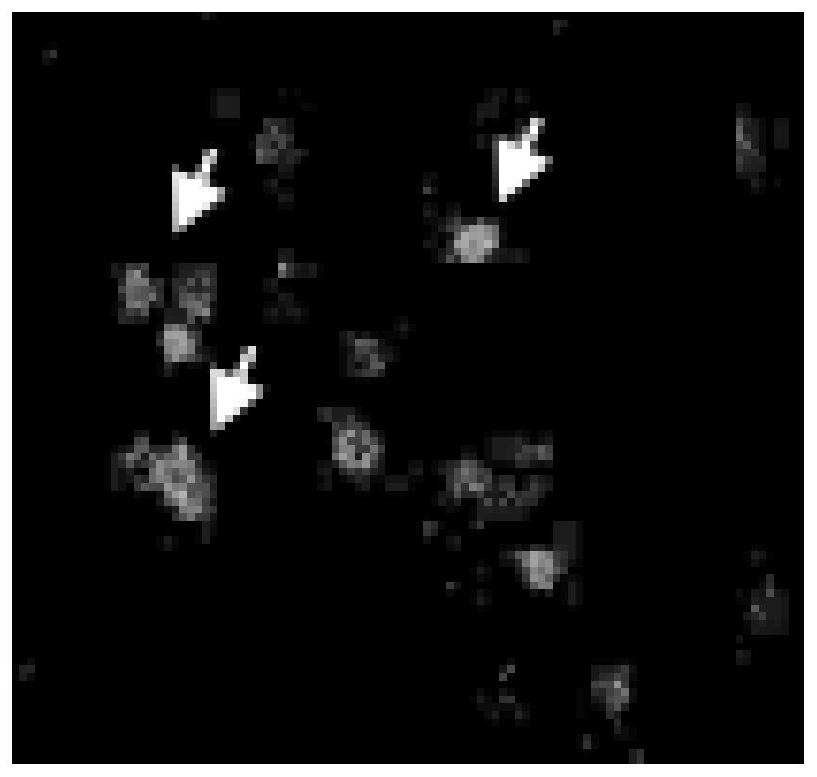 Method for promoting osteogenic differentiation of bone marrow mesenchymal stem cells using levorotatory hydrogel materials