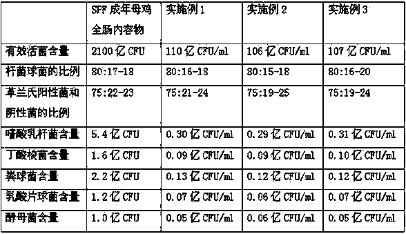 Chicken microecological preparation and preparation method thereof