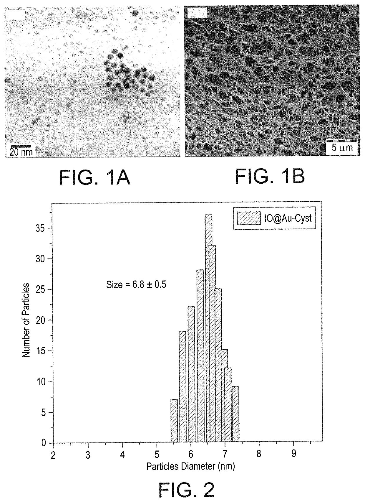 Multifunctional cancer targeting nanoparticles