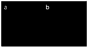 Conjugated polymer with AIE properties and preparation method thereof