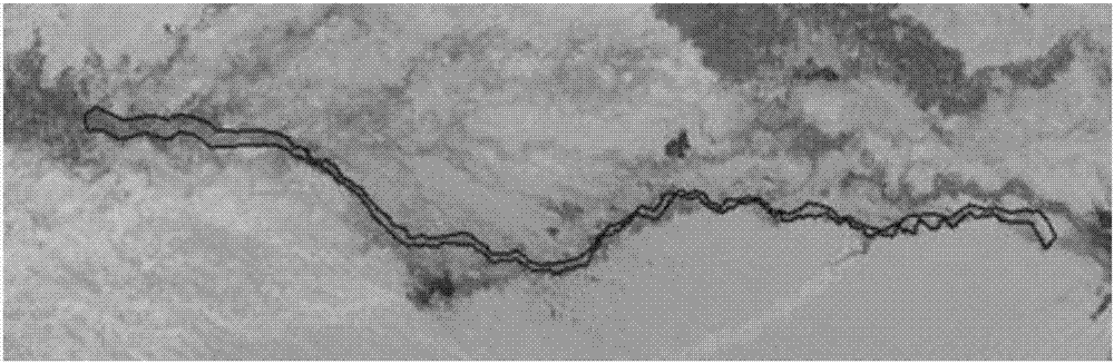 Desert riparian forest spatial distribution obtaining method based on GIS buffer area analysis