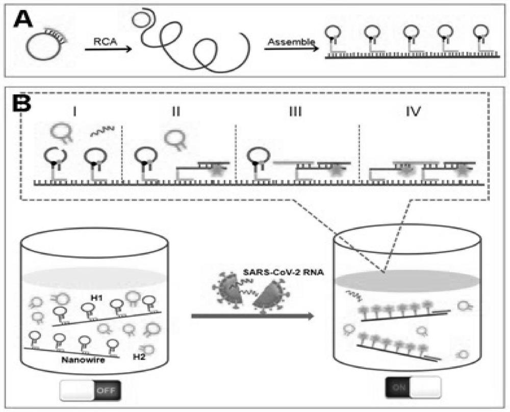 A method for rapid detection of SARS-CoV-2 based on DNA nanoscaffolds