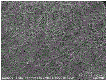 Composite solid polymer electrolyte and preparing method and application thereof