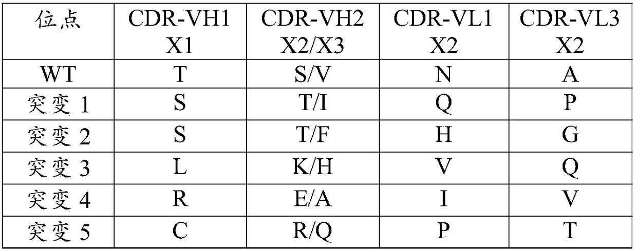 Binding protein of NS1 protein