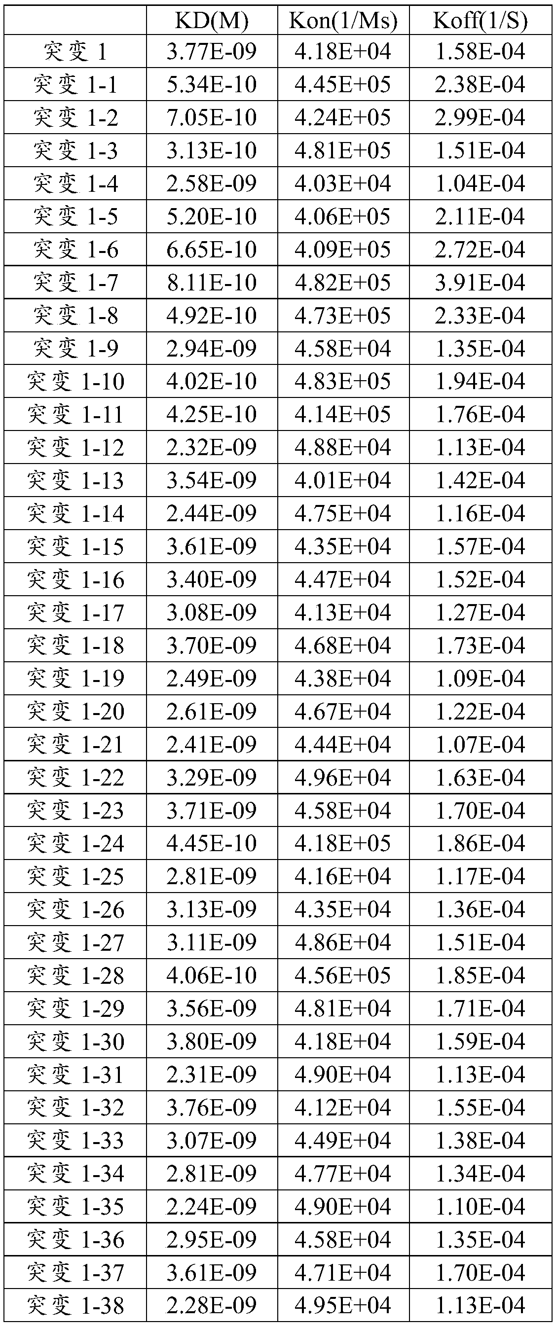 Binding protein of NS1 protein