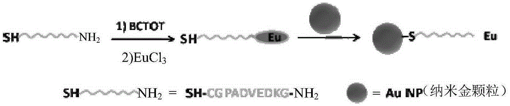 Difunctional nanoprobe based on lanthanide metal as well as preparation method and application of difunctional nanoprobe