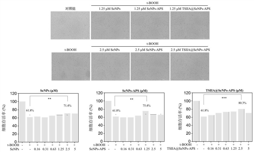 Preparation method and application of nano-selenium modified by astragalus polysaccharide and loaded with tanshinone IIA