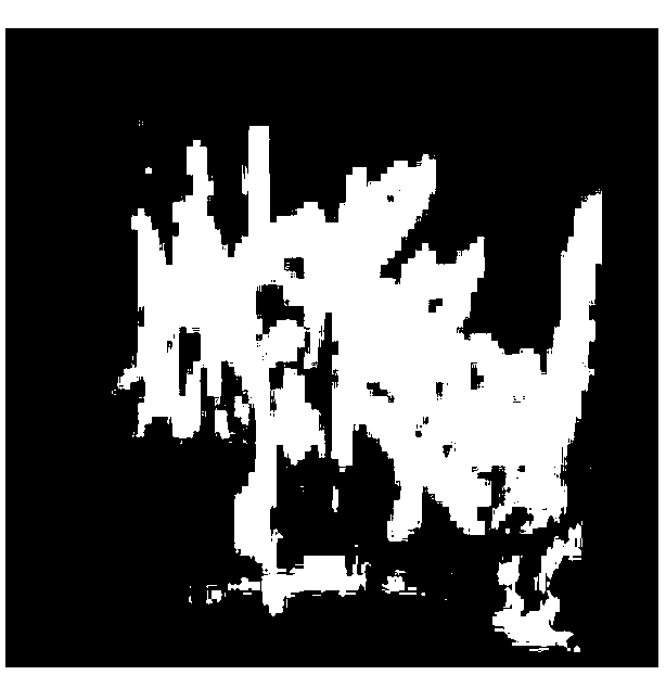 Method for quickly breeding cymbidium hybridium by use of root inducing protocorm