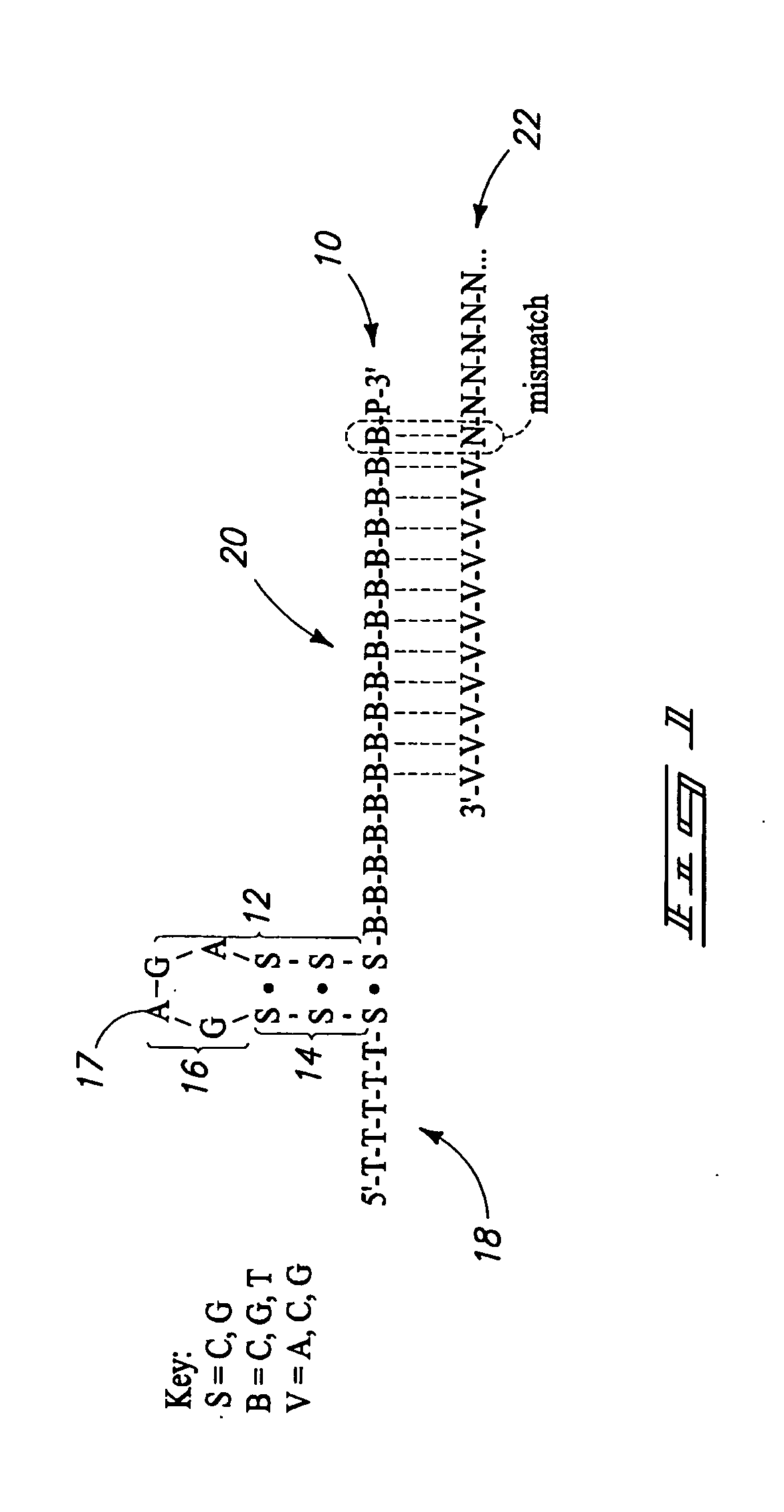 Methods of detecting DNA N-glycosylases, methods of determining N-glycosylase activity, and N-glycosylase assay kits