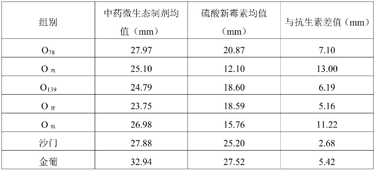 Traditional Chinese medicine microecological preparation for preventing and treating livestock diarrhea and preparation method thereof