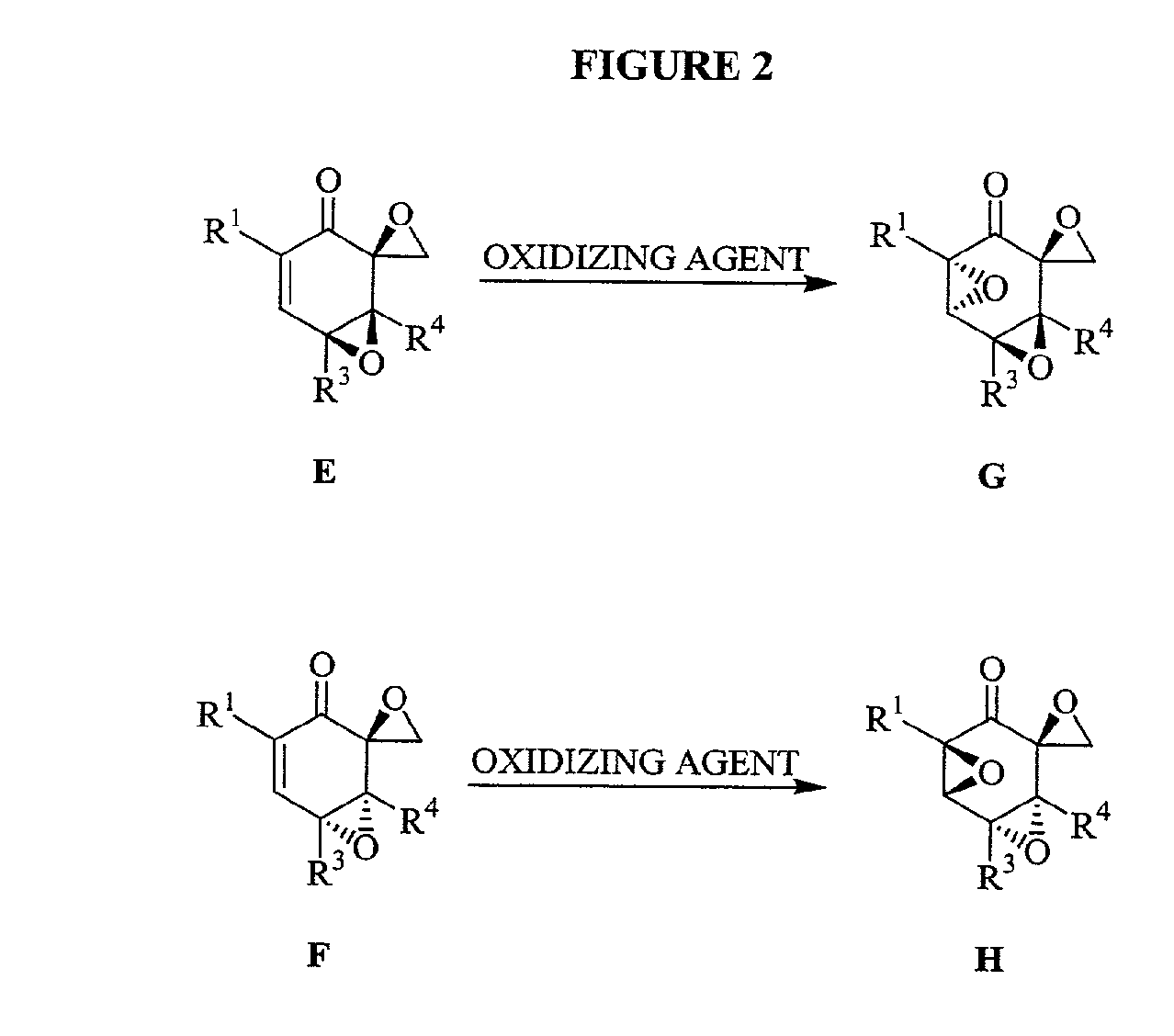 Triptolide Analogs for the Treatment of Autoimmune and Inflammatory Disorders