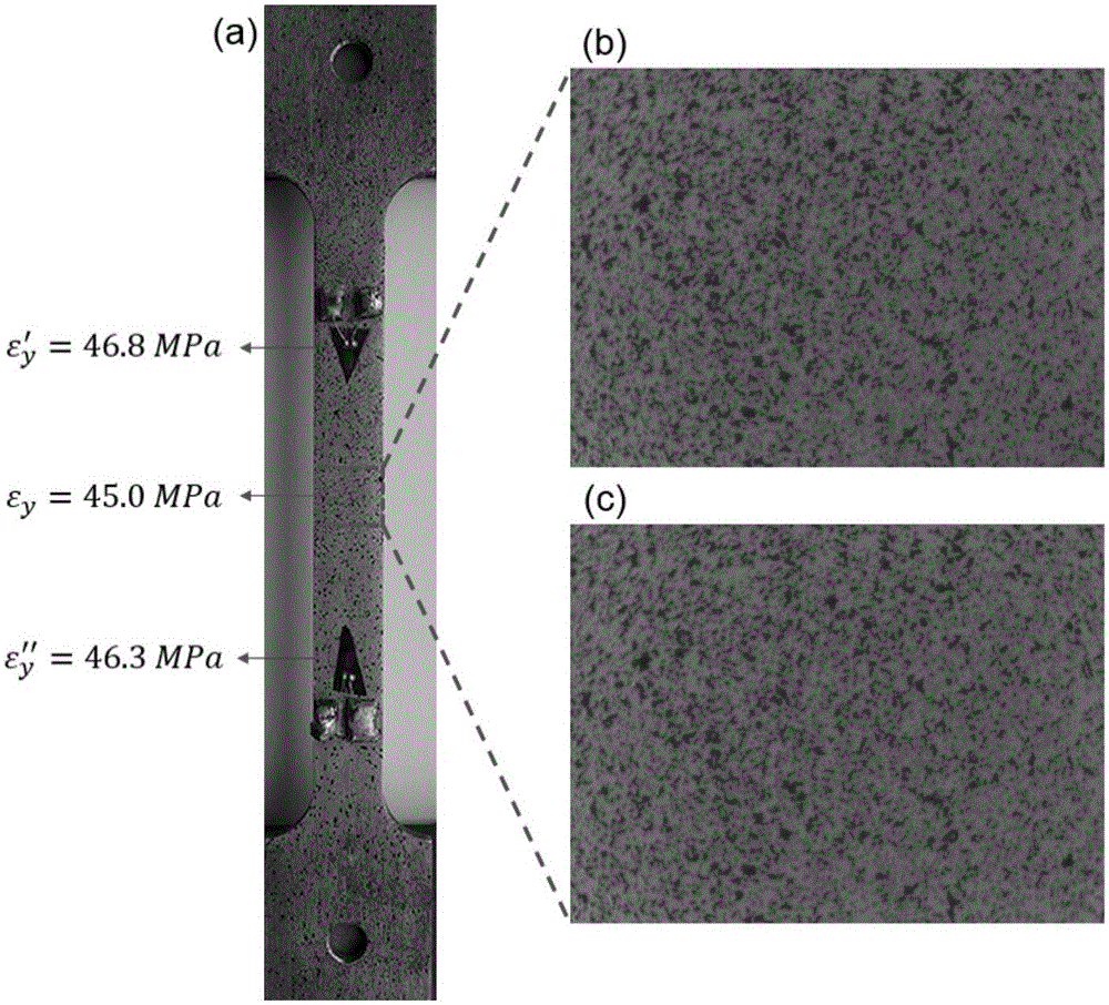 Stress test system based on digital image correlation method and application thereof