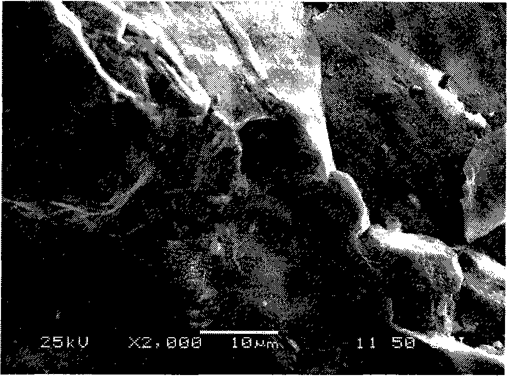 Nano granule water purifying material for removing heavy metal and preparation thereof