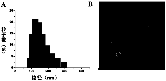 A kind of degradable acid-sensitive polyasparagine copolymer and its preparation method and application