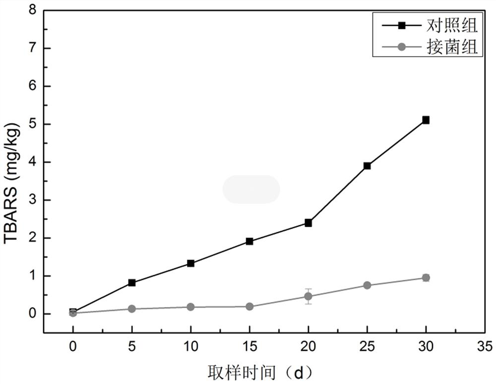 A strain of Staphylococcus saprophyticus and its application in the preparation of dry fermented sausages