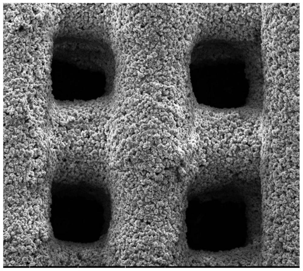 A kind of preparation method of porous dicalcium silicate bioactive ceramic support