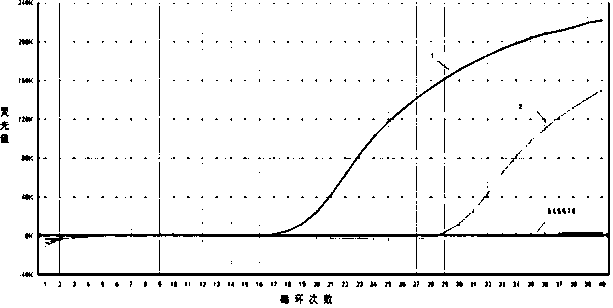 A primer, probe and kit for specific detection of type 3 ungulate boca parvovirus