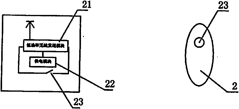 Device and method for realizing remote monitoring