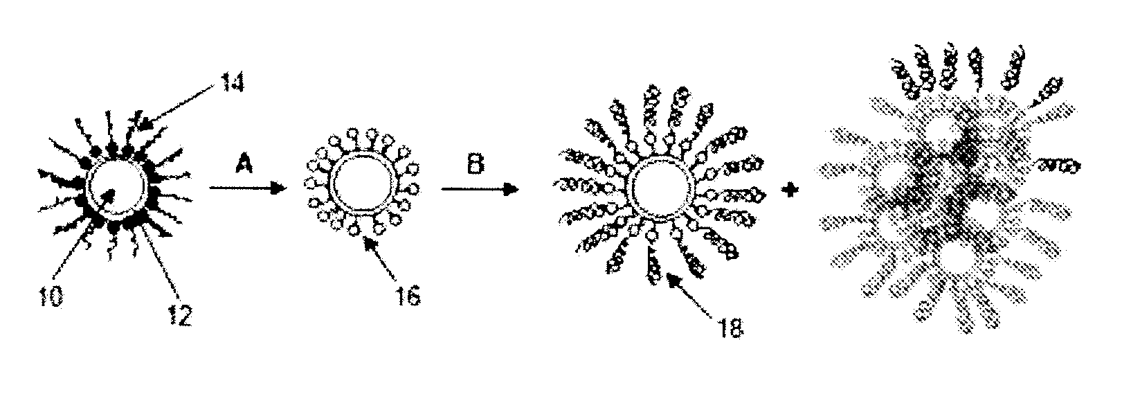 Method for the production of bio-imaging nanoparticles with high yield by early introduction of irregular structure