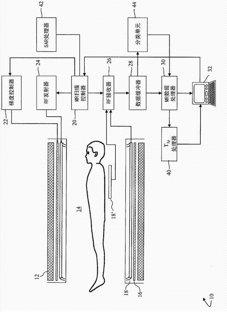 Interleaved spin-locking imaging