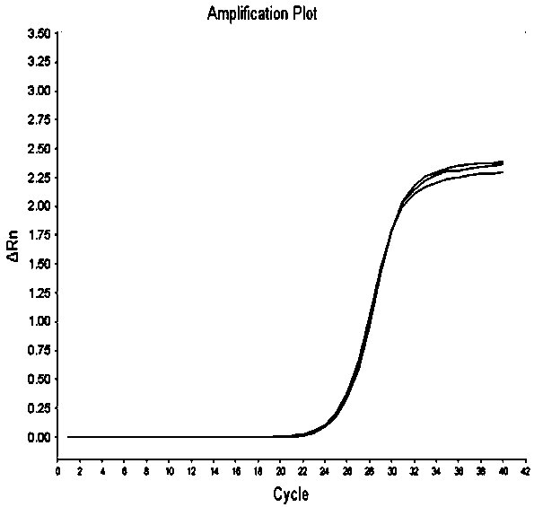 Winter squash EF1-alpha gene and application thereof