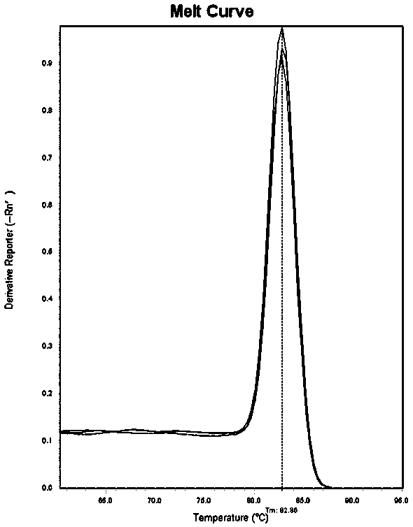 Winter squash EF1-alpha gene and application thereof