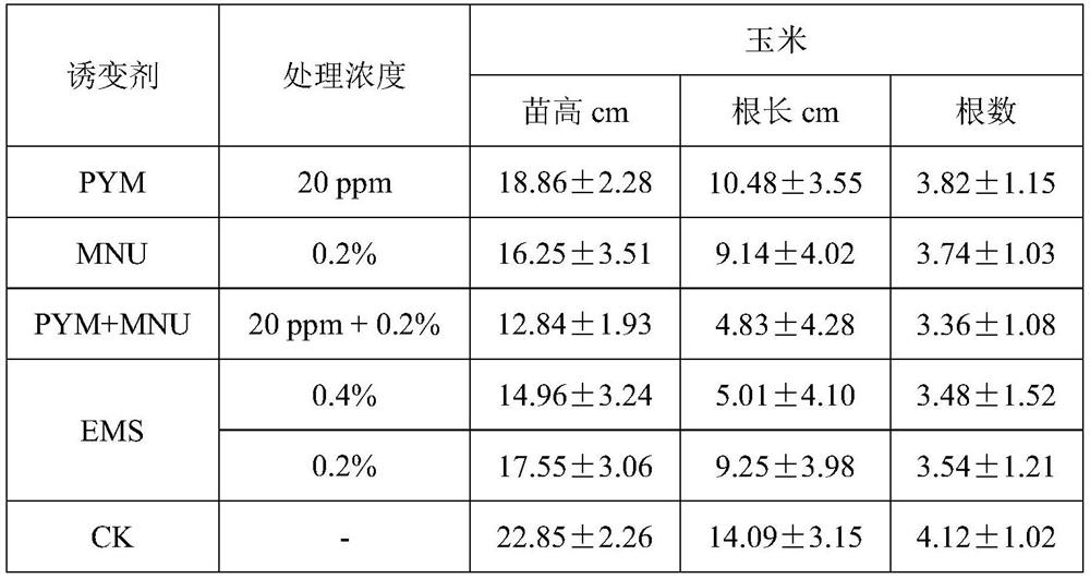 A chemical mutagen for genetic breeding of maize